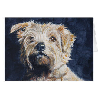 Kopfstudie Norfolks Terrier