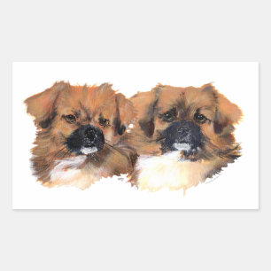 Kopfstudie Tibet-Spaniels Rechteckiger Aufkleber