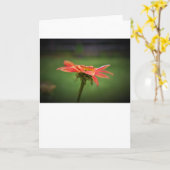 Kopfstütze, Karte (Gelbe Blume)