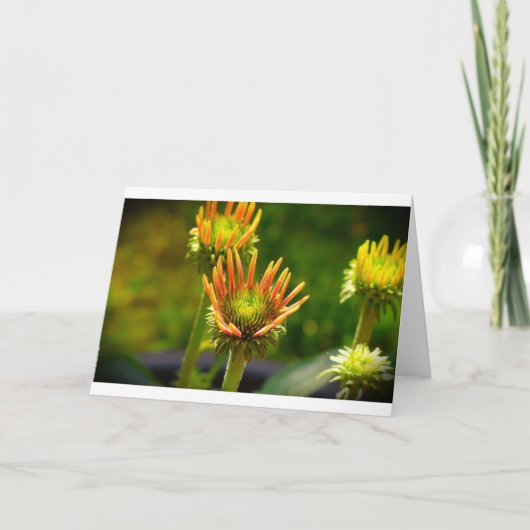 Kopfstütze, Karte (Vorderseite)