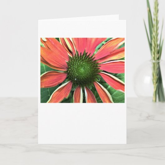 Kopfstütze, Karte (Vorderseite)