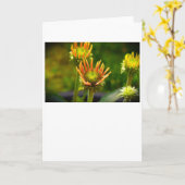 Kopfstütze, Karte (Gelbe Blume)