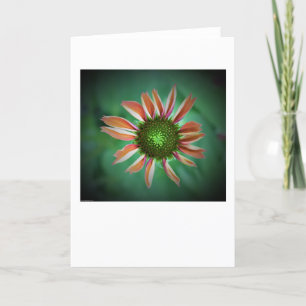 Kopfstütze, Karte