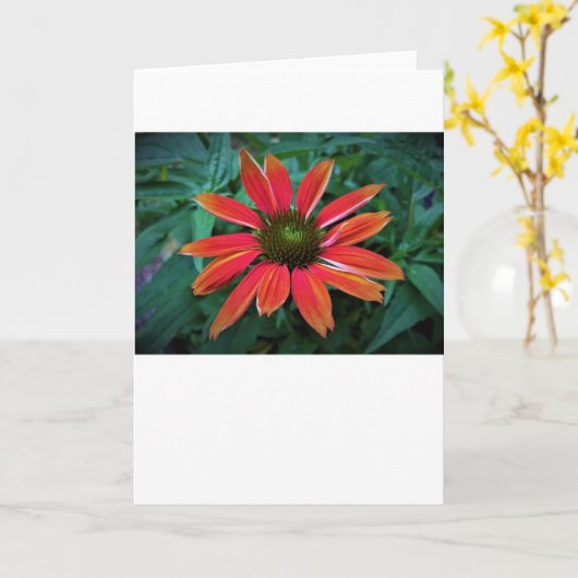 Kopfstütze, Karte (Gelbe Blume)