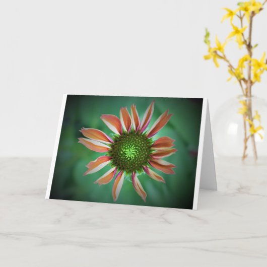 Kopfstütze, Karte (Gelbe Blume)