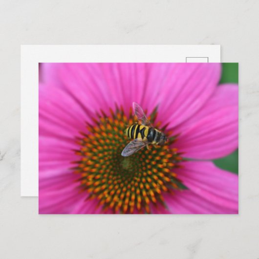 Kopfstütze Postkarte (Vorne/Hinten)