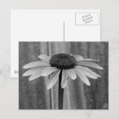 Kopfstütze Postkarte (Vorne/Hinten)