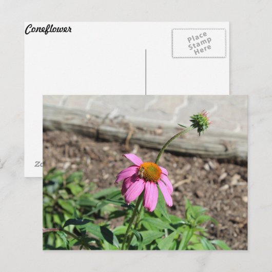 Kopfstütze Postkarte (Vorne/Hinten)