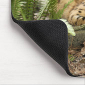 Kopie des Serval 019 Mousepad (Ecke)