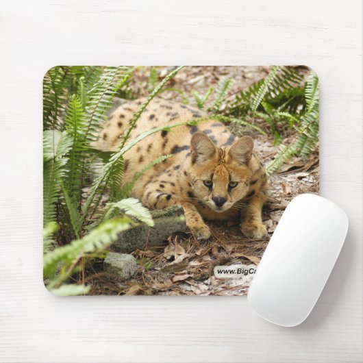 Kopie des Serval 019 Mousepad (Mit Mouse)