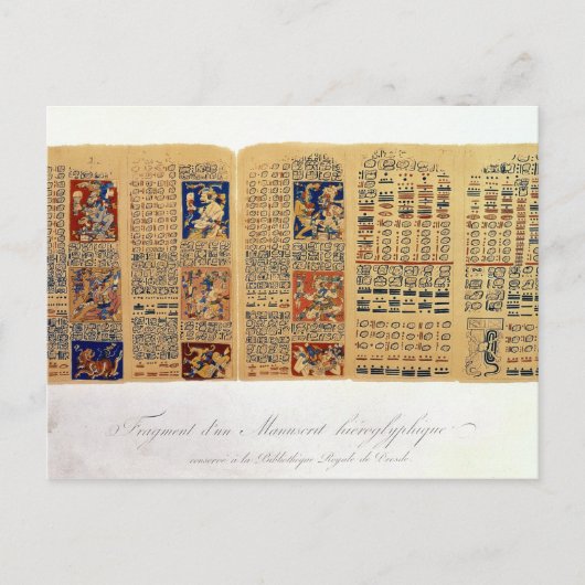 Kopie eines Fragments des Dresdner Codex Postkarte (Vorderseite)