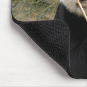 Kopie panda106 mousepad (Ecke)