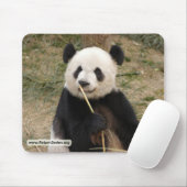 Kopie panda106 mousepad (Mit Mouse)
