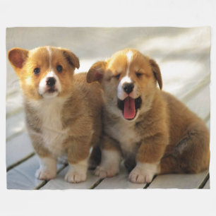 KOPIEREN SIE PASTE FLEECEDECKE