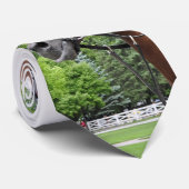 Koppel-PferdeKrawatte Krawatte (Gerollt)