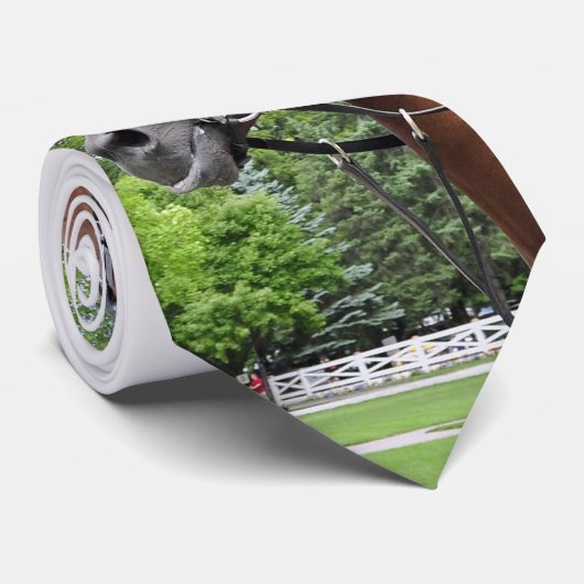 Koppel-PferdeKrawatte Krawatte (Gerollt)