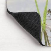 Kopulation von Damselflies Mousepad (Ecke)