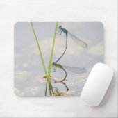 Kopulation von Damselflies Mousepad (Mit Mouse)