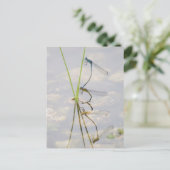 Kopulation von Damselflies Postkarte (Stehend Vorderseite)
