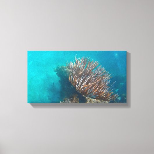 KORALE AUF LEINWAND 20 "x 16" (Vorderseite)