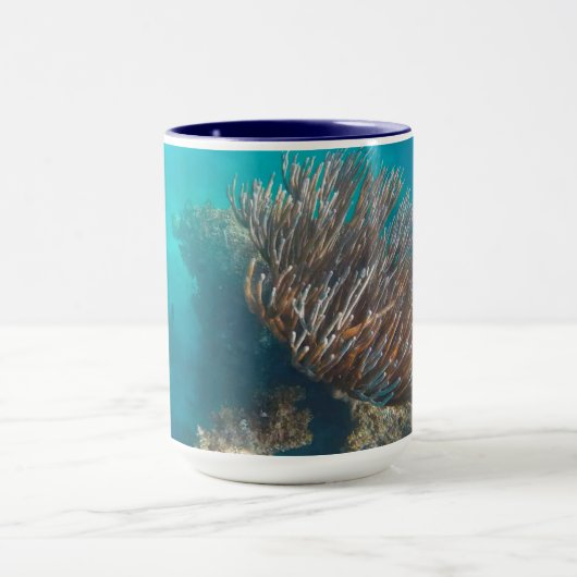 KORALE TASSE (Zentrum)