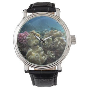 Koralle, Agincourt Riff, Great Barrier Reef, Armbanduhr