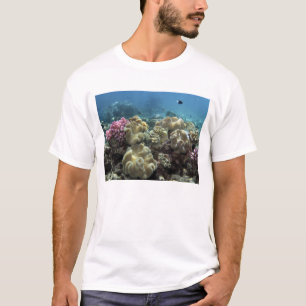 Koralle, Agincourt-Riff, Great Barrier Reef, T-Shirt