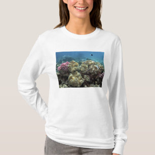 Koralle, Agincourt-Riff, Great Barrier Reef, T-Shirt