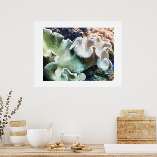 Koralle aus Toadstool Poster (Küche)