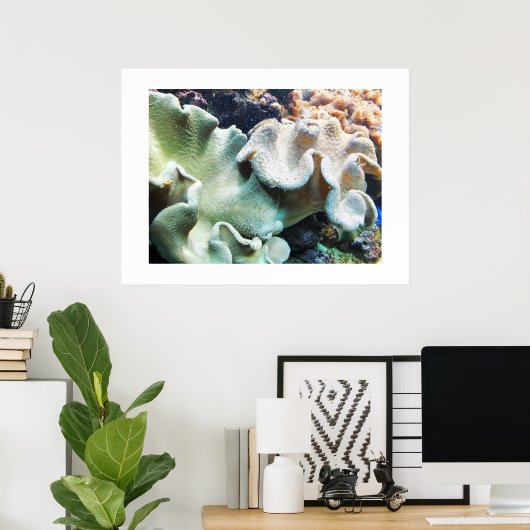 Koralle aus Toadstool Poster (Heimbüro)