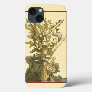 Koralle durch das Meer iPhone 13 Hülle