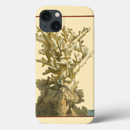 Koralle durch das Meer Case-Mate iPhone Hülle (Rückseite)