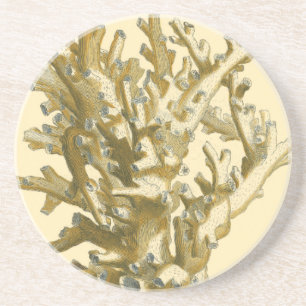 Koralle durch das Meer Sandstein Untersetzer