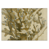 Koralle durch das Meer