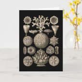 Koralle Karte (Gelbe Blume)