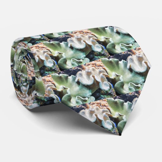 Koralle Krawatte (Gerollt)