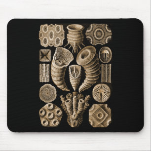 Koralle Mousepad