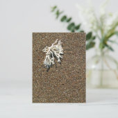 Koralle Postkarte (Stehend Vorderseite)