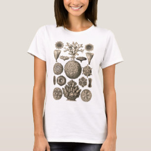 Koralle T-Shirt