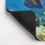 Koralle und Fische im Roten Meer, Ägypten Mousepad (Ecke)