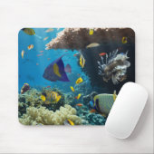 Koralle und Fische im Roten Meer, Ägypten Mousepad (Mit Mouse)