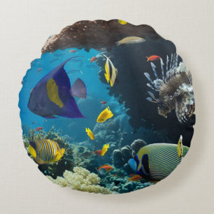 Koralle und Fische im Roten Meer, Ägypten Rundes Kissen