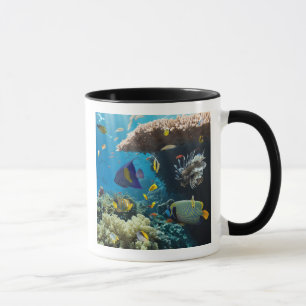 Koralle und Fische im Roten Meer, Ägypten Tasse