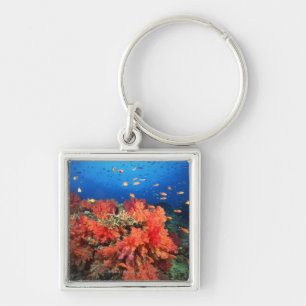 Koralle und Fische Schlüsselanhänger