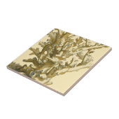 Korallen am Meer Fliese (Seite)