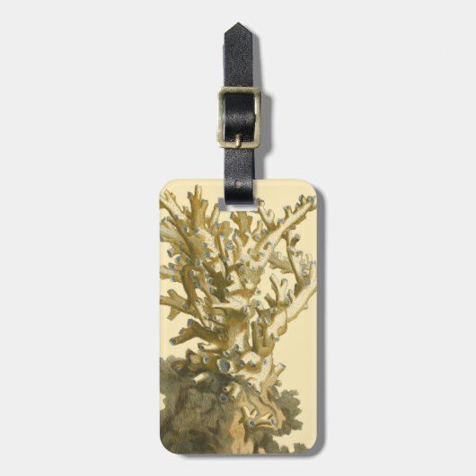 Korallen am Meer Gepäckanhänger (Vorderseite vertikal)