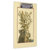 Korallen am Meer Klemmbrett (Rechts)