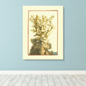 Korallen am Meer Leinwanddruck (Insitu (Holzboden))