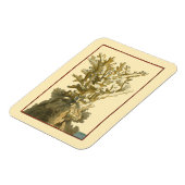 Korallen am Meer Magnet (Linke Seite)