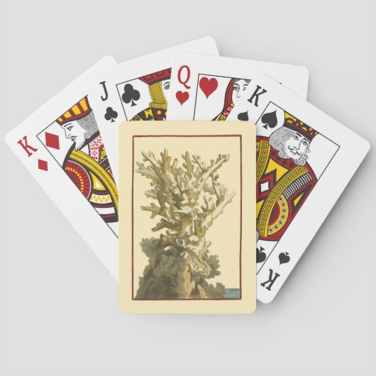 Korallen am Meer Spielkarten (Rückseite)